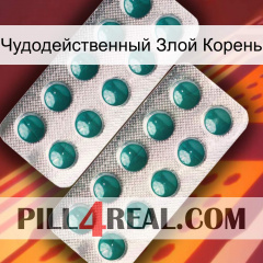 Чудодейственный Злой Корень dapoxetine2